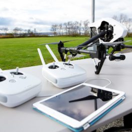 DJI Inspire flying under an ReOC